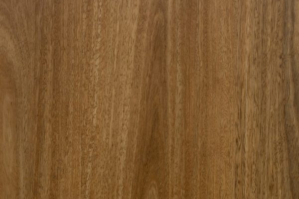 Hybrid – 8mm, Wide - Spotted Gum